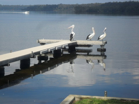 Basin Cabin - Tourism Brisbane 0