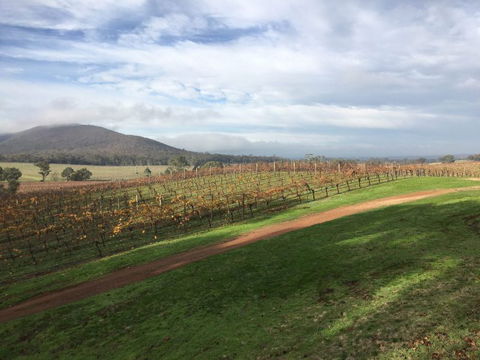Sanguine Estate - Tourism Brisbane 43