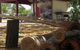 Bluewater Caravan Park - thumb 2