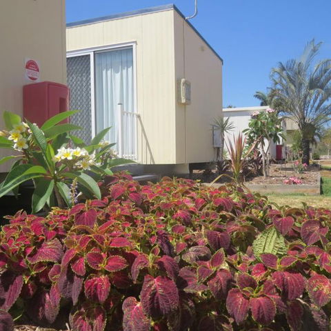 Bluewater Caravan Park - Brisbane Tourism 3