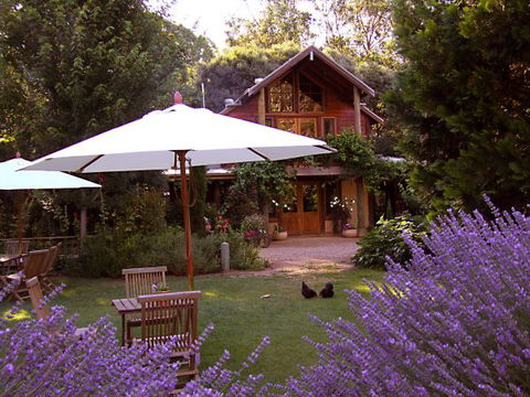 Lavender Hue - Tourism Brisbane 0