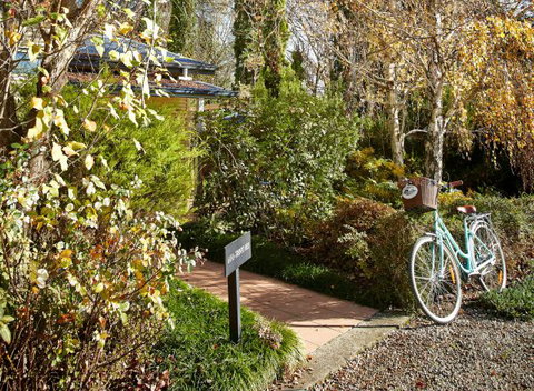 Pizzini's Vineyard Guesthouse - Tourism Brisbane 5