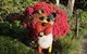 Pizzini's Vineyard Guesthouse - thumb 7