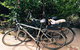 Pizzini's Vineyard Guesthouse - thumb 8