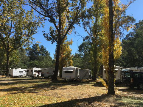 Beechworth Holiday Park - Brisbane 4u 5