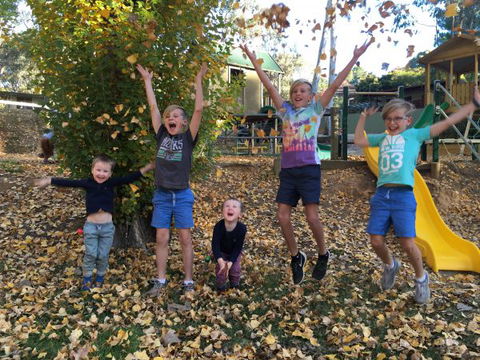 Beechworth Holiday Park - Brisbane 4u 8