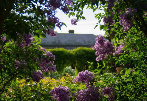 Eurambeen Historic Homestead And Gardens - Tourism Brisbane 1