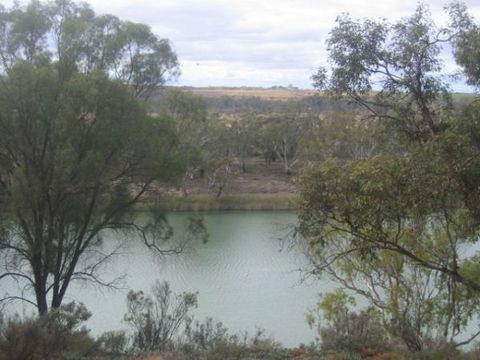 Gilgens Country River Retreat - Tourism Brisbane 3