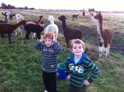 Grange Cleveland Winery Retreat - Tourism Brisbane 3