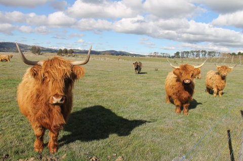 Grange Cleveland Winery Retreat - Tourism Brisbane 6