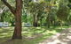 Grampians Paradise Camping And Caravan Parkland - thumb 6