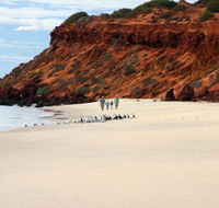 Herald Bight Camp at Francois Peron National Park - Tourism Brisbane