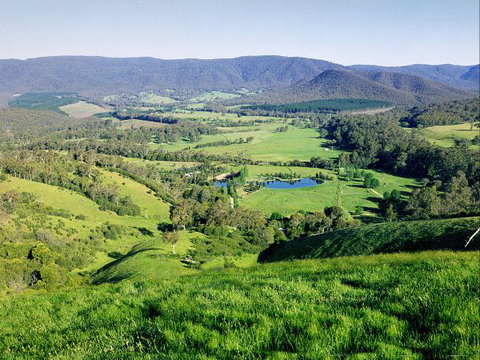 Kingbilli - Brisbane Tourism 1