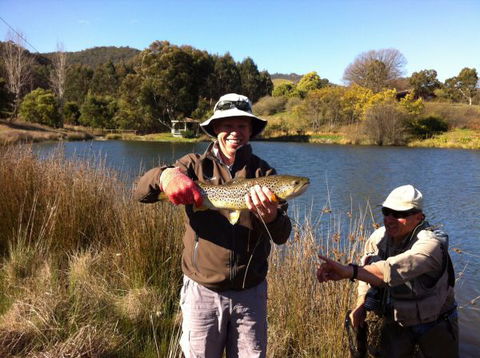 Jamieson Valley Retreat - Brisbane Tourism 1