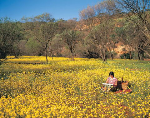 Miners Camp At Coalseam National Park - Tourism Brisbane 0