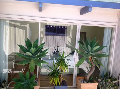 The Beach House - Tourism Brisbane 8