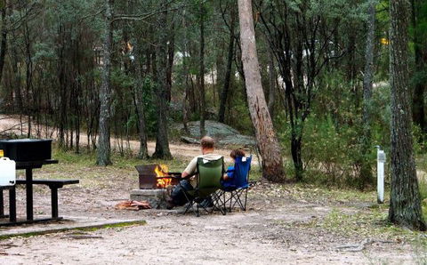 Girraween National Park Camping Ground - Tourism Brisbane 0