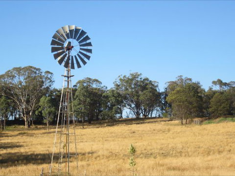 Peach Tree Cabin - Tourism Brisbane 8