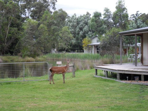 Grampians Chalets - Brisbane Tourism 3