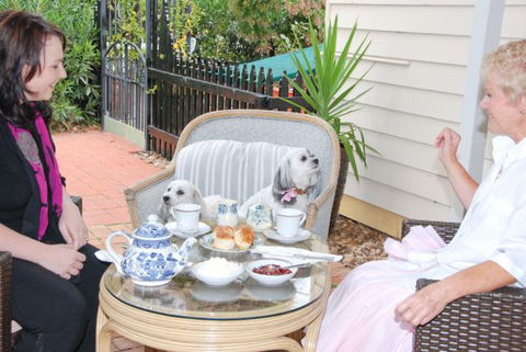 Must Love Dogs B&B And Self-Contained Cottage - Brisbane 4u 2