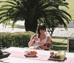 Sunny Hill Retreat Accommodation & Day Spa - Tourism Brisbane 4