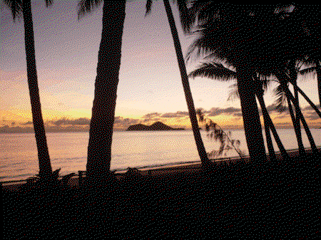 Ellis Beach Oceanfront Bungalows - Tourism Brisbane 1