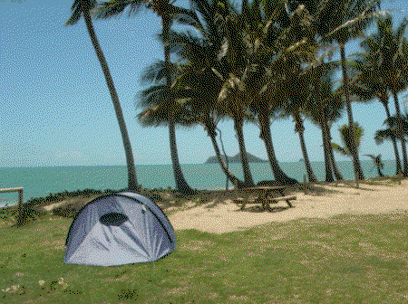 Ellis Beach Oceanfront Bungalows - Tourism Brisbane 2