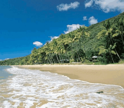Ellis Beach Oceanfront Bungalows - Tourism Brisbane 3