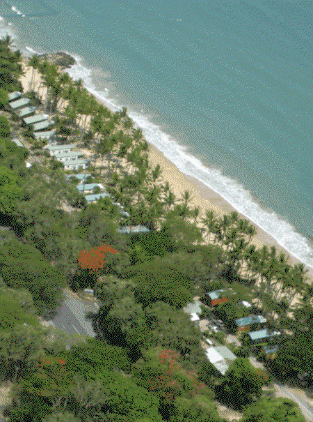 Ellis Beach Oceanfront Bungalows - Tourism Brisbane 4