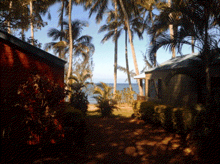 Ellis Beach Oceanfront Bungalows - Tourism Brisbane 5