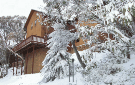 Corio Ski Club - Brisbane Tourism