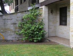Avon Court Apartments - Brisbane 4u 2