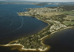Beauty Point Tourist Park - Brisbane Tourism 2