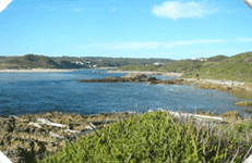 Arthur River Cabin Park - Tourism Brisbane 5