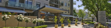 The Sebel Launceston - Tourism Brisbane 1