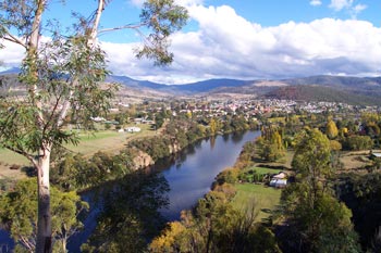 Rosie's Inn - Tourism Brisbane 2