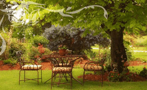 Glencoe Country Bed And Breakfast - Tourism Brisbane 1