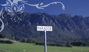 Glencoe Country Bed And Breakfast - Tourism Brisbane 2