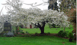 Glencoe Country Bed And Breakfast - Tourism Brisbane 3