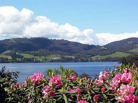 Donalea Bed & Breakfast - Tourism Brisbane 1