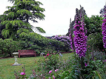 Donalea Bed & Breakfast - Tourism Brisbane 4
