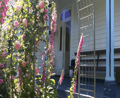 Devonport Bed And Breakfast - Tourism Brisbane