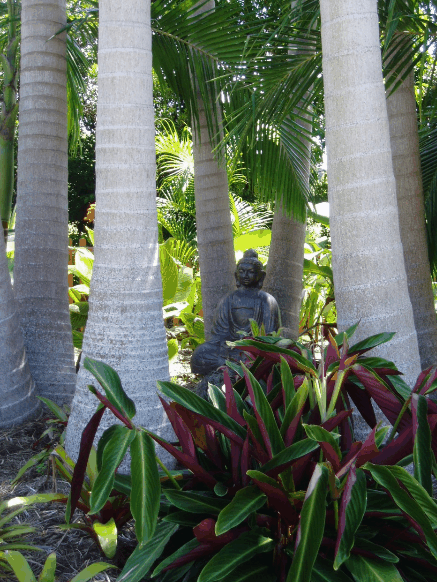Amber Gardens Guesthouse - Brisbane 4u 3