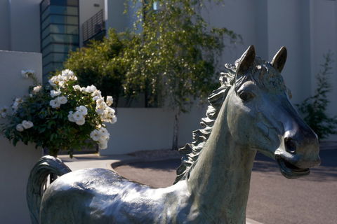 Quest Flemington - Tourism Brisbane 4