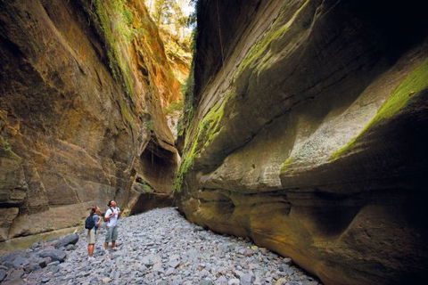 Carnarvon National Park Camping - Brisbane 4u 4