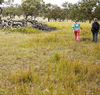 Carnarvon National Park camping - Tourism Brisbane