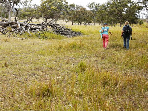 Carnarvon National Park Camping - Brisbane 4u 0