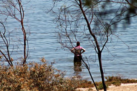 17 QED Lakehouse - Brisbane Tourism 8