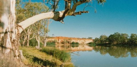 Border Cliffs River Retreat - Brisbane Tourism 0