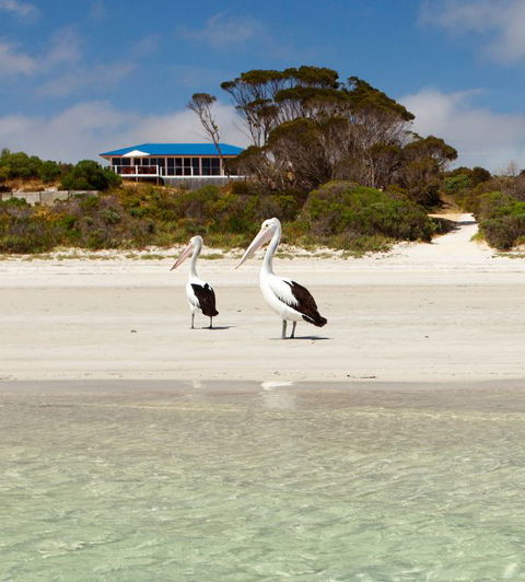 Kangaroo Island Star Beach House - Brisbane 4u 0